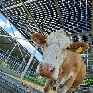 agri-photovoltaik