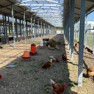 agri-photovoltaik