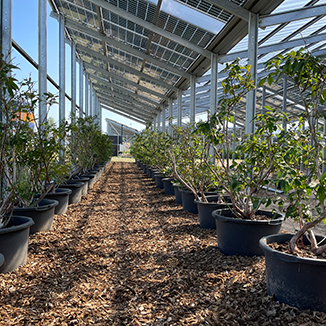 agri-photovoltaik