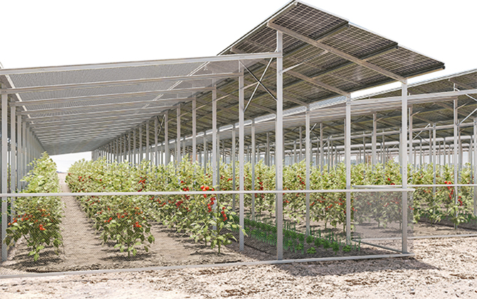food & energy training center pv solar freiland